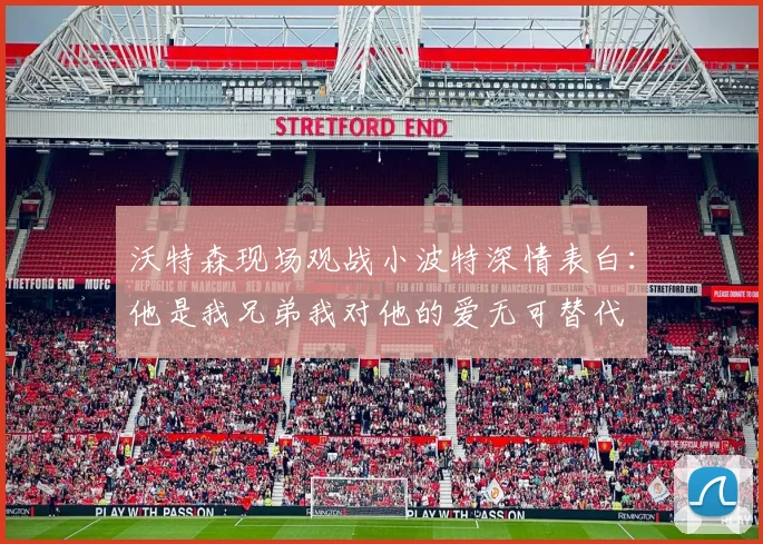 沃特森现场观战小波特深情表白：他是我兄弟我对他的爱无可替代