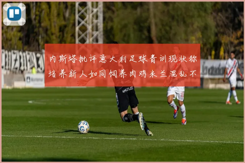 内斯塔批评意大利足球青训现状称培养新人如同饲养肉鸡米兰混乱不堪